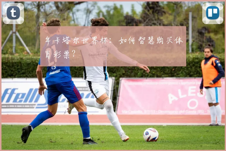 年卡塔尔世界杯:如何智慧购买体育彩票?