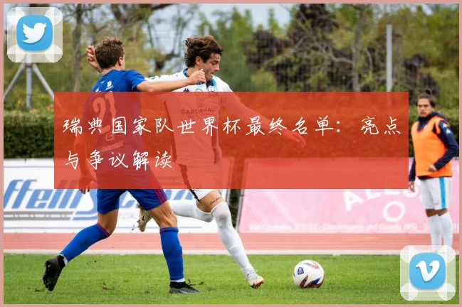 瑞典国家队世界杯最终名单:亮点与争议解读