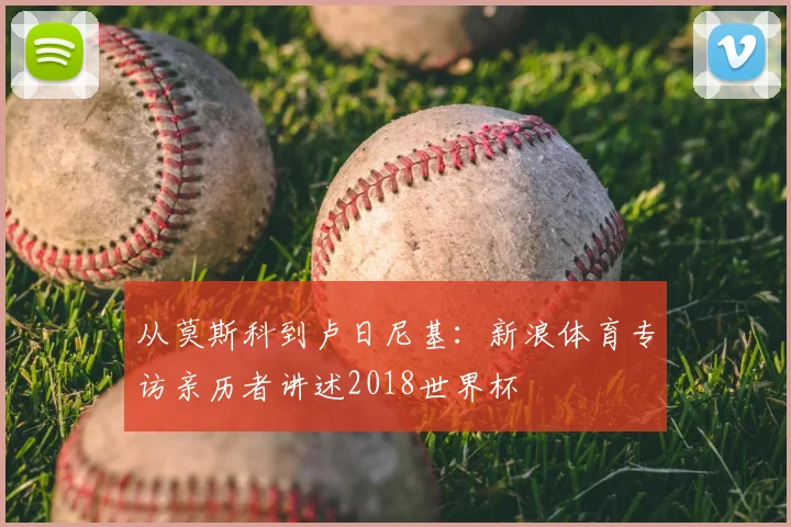 从莫斯科到卢日尼基：新浪体育专访亲历者讲述2018世界杯