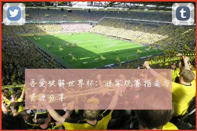 吾爱破解世界杯:独家观赛指南与资源分享